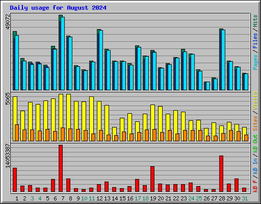 Daily usage for August 2024