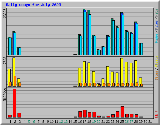 Daily usage for July 2025