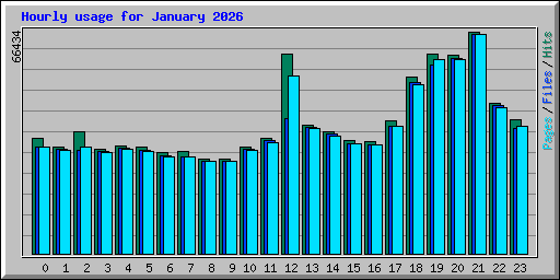 Hourly usage for January 2026